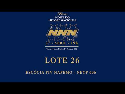 LOTE 26   ESCÓCIA FIV NAPEMO   NEYP 606