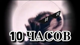 ЕНОТИК ТАНЦУЕТ ПОД ПЕДРО ПЕДРО ПЕДРО 10 ЧАСОВ(RACCOON DANCING TO PEDRO PEDRO PEDRO 10 HOURS))