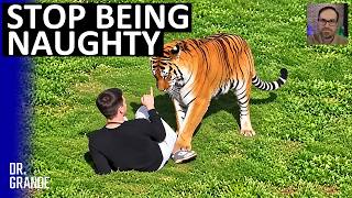 Man Tries to Reason With 420-Pound Tiger After Climbing Into Wildlife Park Enclosure | Analysis