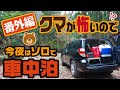 熊が怖いので!? 今夜はソロで車中泊