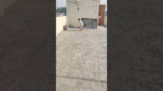 #Madhav Style... #viral #cricket