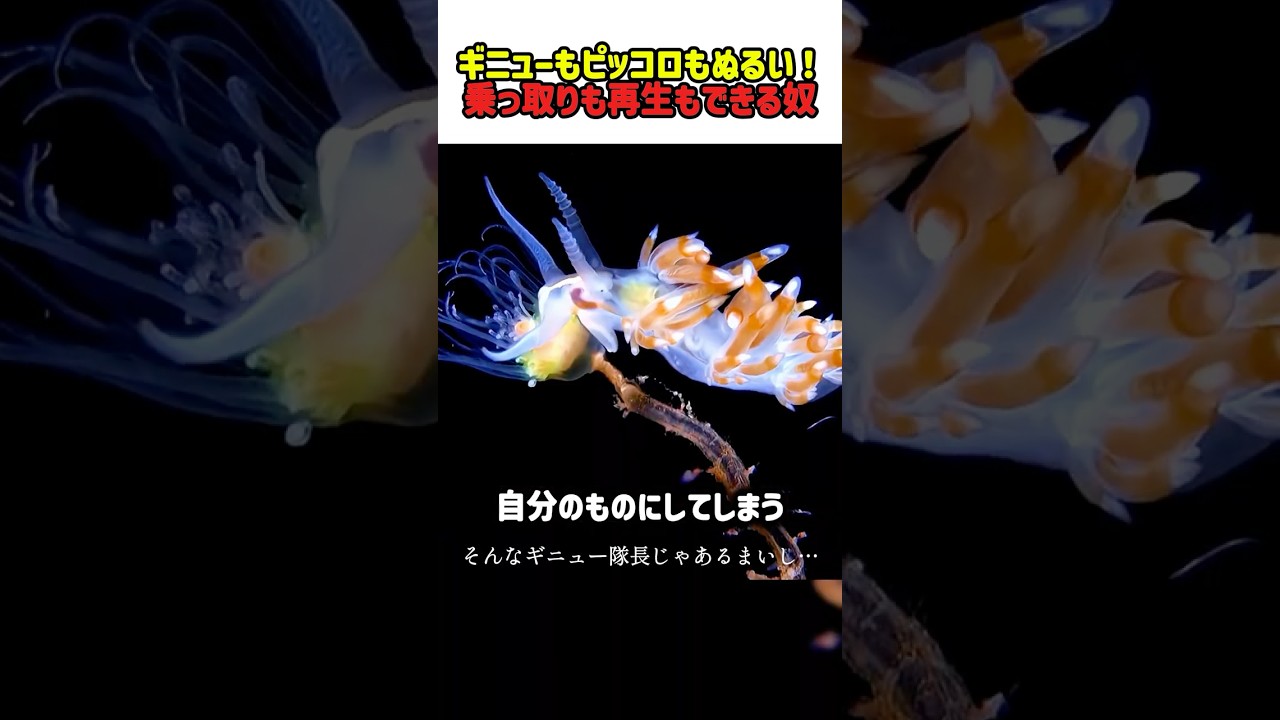 【衝撃】首を切り落として再生！？相手の能力を奪う「超能力ミノウミウシ」の驚くべき正体　#ミノウミウシ #海の生き物 #超能力 #能力泥棒 #驚異の生命力 #動物の不思議 #雑学 #shorts