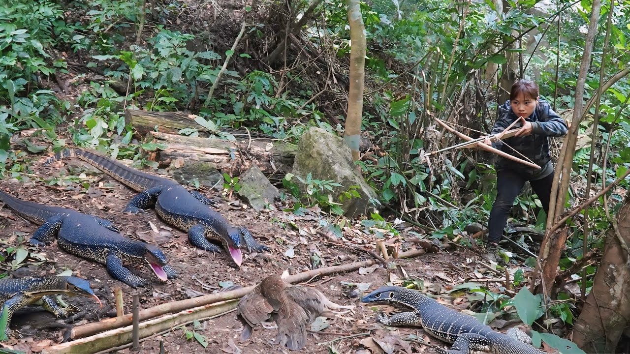 150 Days Living in the Wild Forest, Build Shelter, Track Wild Boar and Set Traps, survival alone