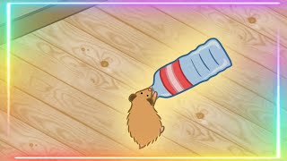 Hammie boye extended version