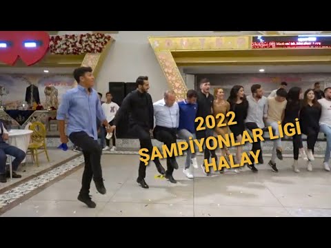 HALAY DEĞİL  ŞAMPİYONLAR LİGİ DAVUL ZURNA  GEZER MÜZİK KAMERA