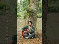 ズーカラデル / シーラカンス                   #邦ロック  #バンド #おすすめ