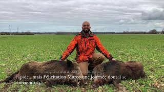 Chasse au gros gibier : Sangliers, chevreuils en Normandie