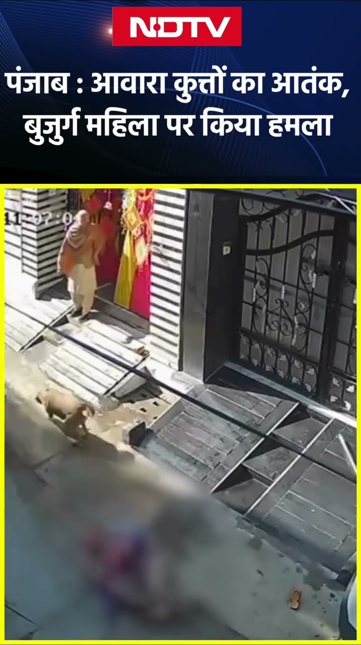 Punjab: आवारा कुत्तों का आतंक, 60 साल की बुजुर्ग महिला को 15 जगह काटा, CCTV  में कैद घटना