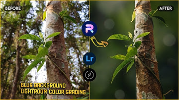Blur Image Background | Mobile Photo Editing Tutorial | Lightroom Color Grading | PhotoRoom Editing