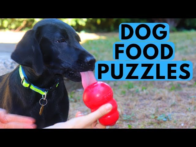 Ownpets Interactive Pet Food Puzzle Slow Feeder Treat Dispenser Blue