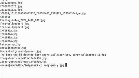Comandos básicos unix/linux