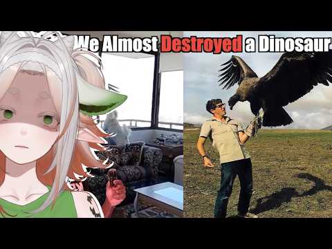 Why We Owe a Vulture on Steroids an Apology.. | Casual Geographic Reaction