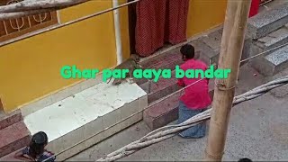 Ghar par aaya bandar🐒 Aapi gayi sasural #dailyvlog #vlog #vlogger #eidvlog #eid