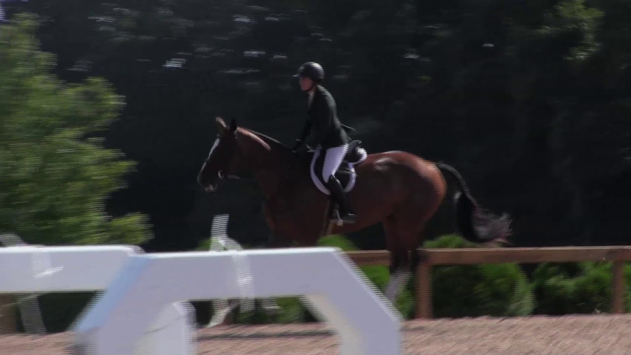 Graf Balou Belle & Jill Gaffney | Performance Hunter 3'3"