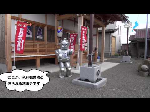 【BBC放送作品】5/29放送・知ったかぶりカイツブリにゅーす