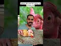 إيه بيحصل لما ترسم خط مستقيم قدام فرخه إيه بيحصل لما ترسم خط مستقيم قدام فرخه