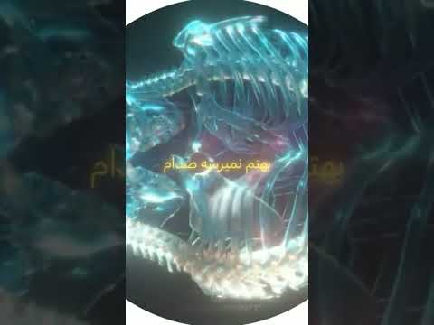 بابا پر پر شدم منو جمعم کن   