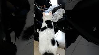 気になるのはどっちかな??