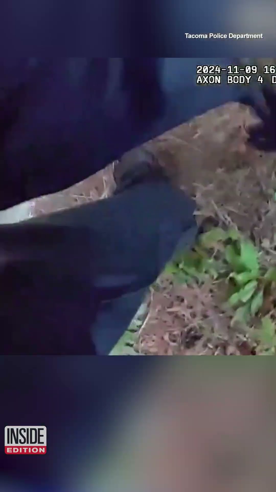 Runaway Pig Leads Washington Police on Neighborhood Chase #shorts