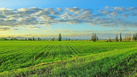 عبدالعزيز الزهراني تلاوة جديدة بترتيل عراقي  رائع ( Surat Al waga'a (Amazing voice