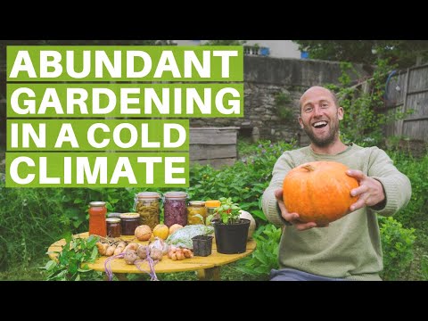 The Easiest, Most Abundant Edible Plants to Grow in a Garden - Gardening in a Cold Climate