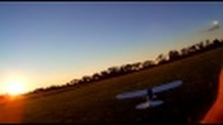 E-Flite Carbon-Z Cub Bnf Basicas3X Maiden Flightthis Things Huge..