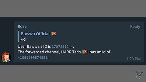 How to get Telegram Channel ID Easyest Way - Bawwa Official