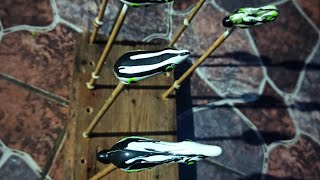 Membuat Soft Frog Sendiri