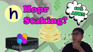 Hopr: The Next Big Cryptocurrency Staking And Node Guide