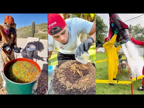 Spider Slack Best of Shorts || Epic Life Hacks Compilation