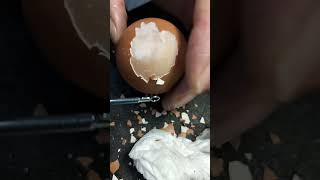 Raw Egg Peeling Marathon - Watch and listen to sleep well #asmr #funnyvideo #satisfying #eggpeeling