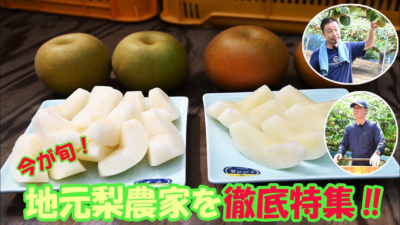 Funabashi's summer tradition: pears. From the classic to rare