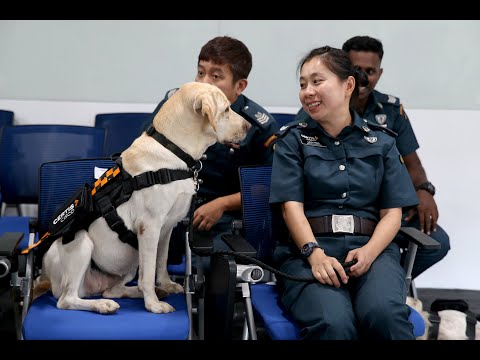 Paw patrol: Certis Cisco's new sniffer dog squad