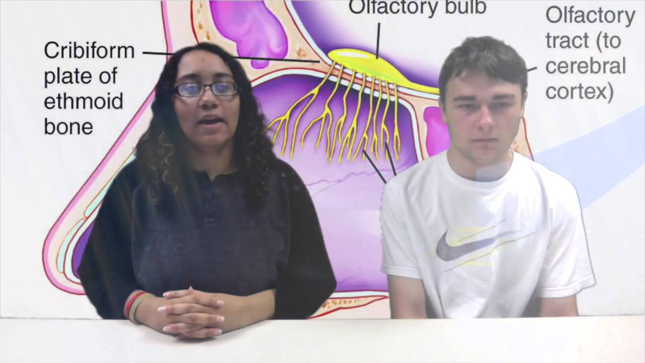 newspaper mockup Shark Attack Today 4 27 16