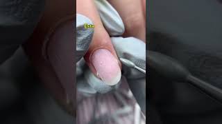 Bit Olive - Brocas, Bits, Fresas - Nail Professional Tools -