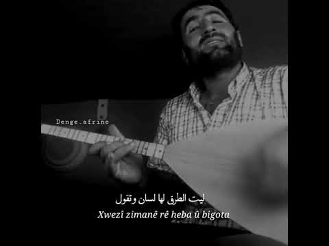 من أروع اغاني كردية هوزان حميد 