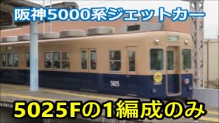 【あと1編成のみ】阪神5000系ジェットカー(青胴車)は5025Fのみ