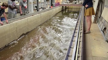 Sediment Transport in SAFL