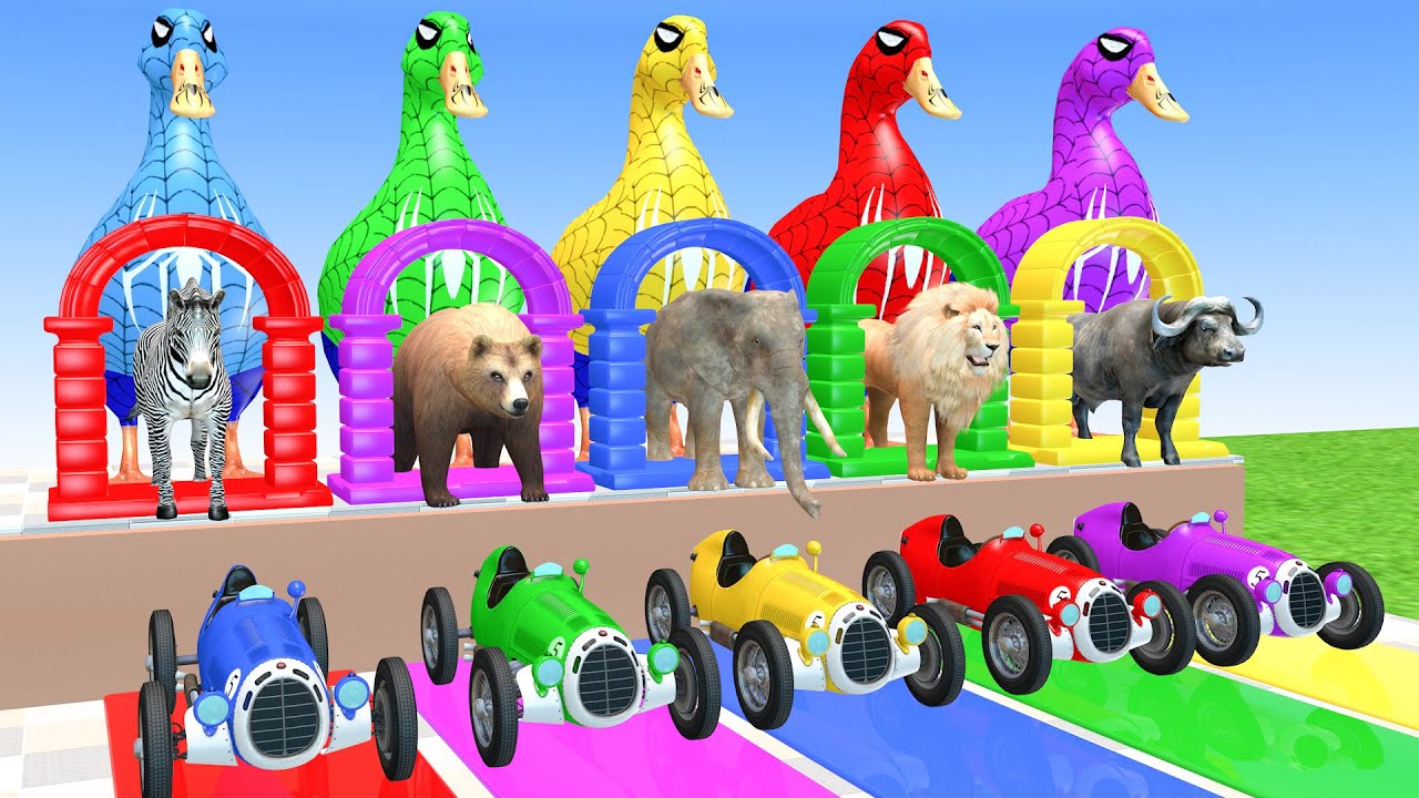 Long Slide Game With Elephant Zebra Bear Lion Buffalo 3d Animal Cage Game Funny 3d Animals