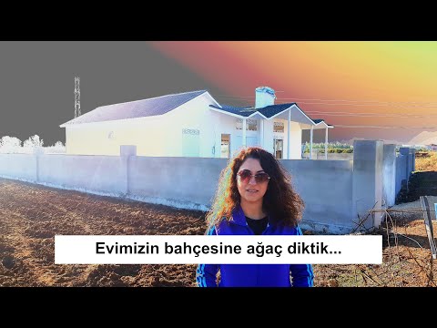 Video: Blockhouse dış cephe kaplaması: özellikler