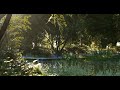 Short Film | The wetland natural landscape Rendering with D5 Render 1.9.0