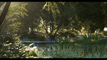 Short Film | The wetland natural landscape Rendering with D5 Render 1.9.0