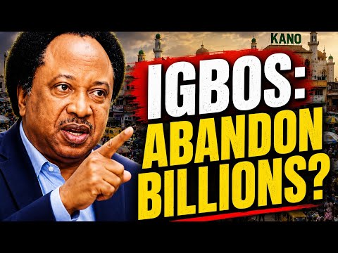 Senator Shehu Sani: Why Should Igbos Abandon the Wealth They Built?
