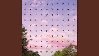 Download Lagu Regar MP3