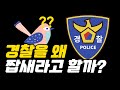 경찰 비하 단어 짭새는 무슨 뜻일까 경찰 비하 단어 짭새는 무슨 뜻일까