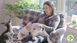 HEMPVET Advanced Nutraceuticals — CBD+ Hemp-Based Pet Health Remedies