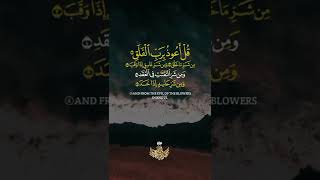 قُلْ أَعُوذُ بِرَبِّ الْفَلَقِ ⚘️سورة الفلق تلاوة خاشعة ⚘️💕حالات واتس اب دينية مؤثرة