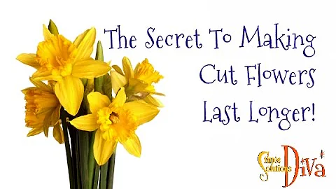 The Secret To Making Cut Flowers Last Longer!