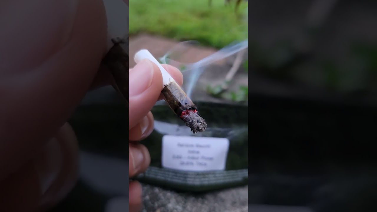 August Cannabis Club | Rainbow Biscotti