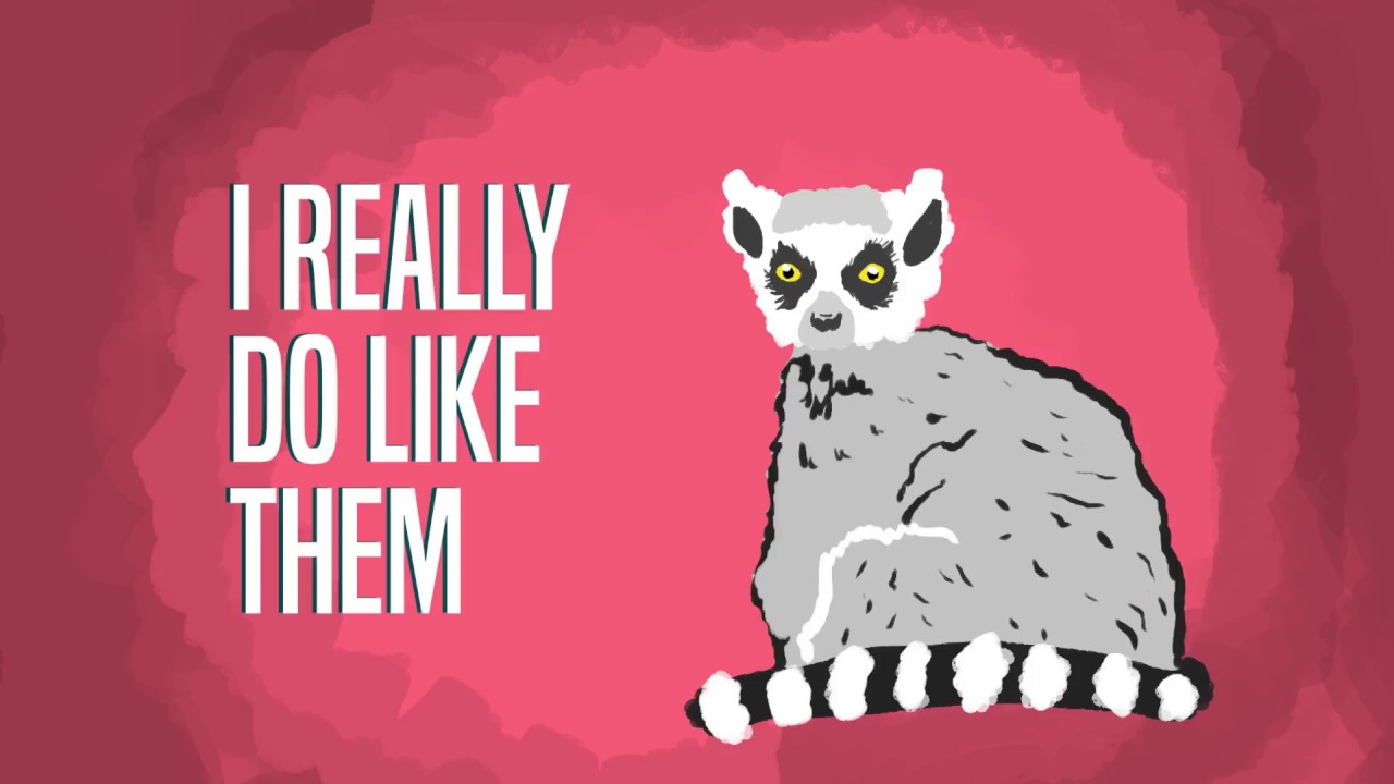 camera iphone 8 plus apk I Like Lemurs!